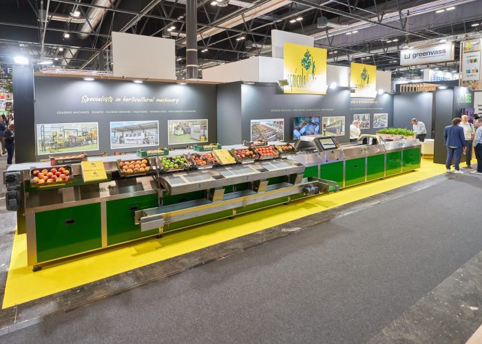 Qué es un showroom - Showroom Fruit Attractio 2023